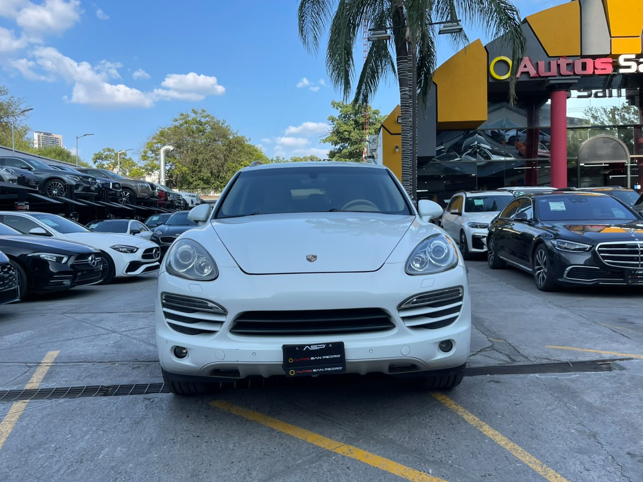 CAYENNE V6