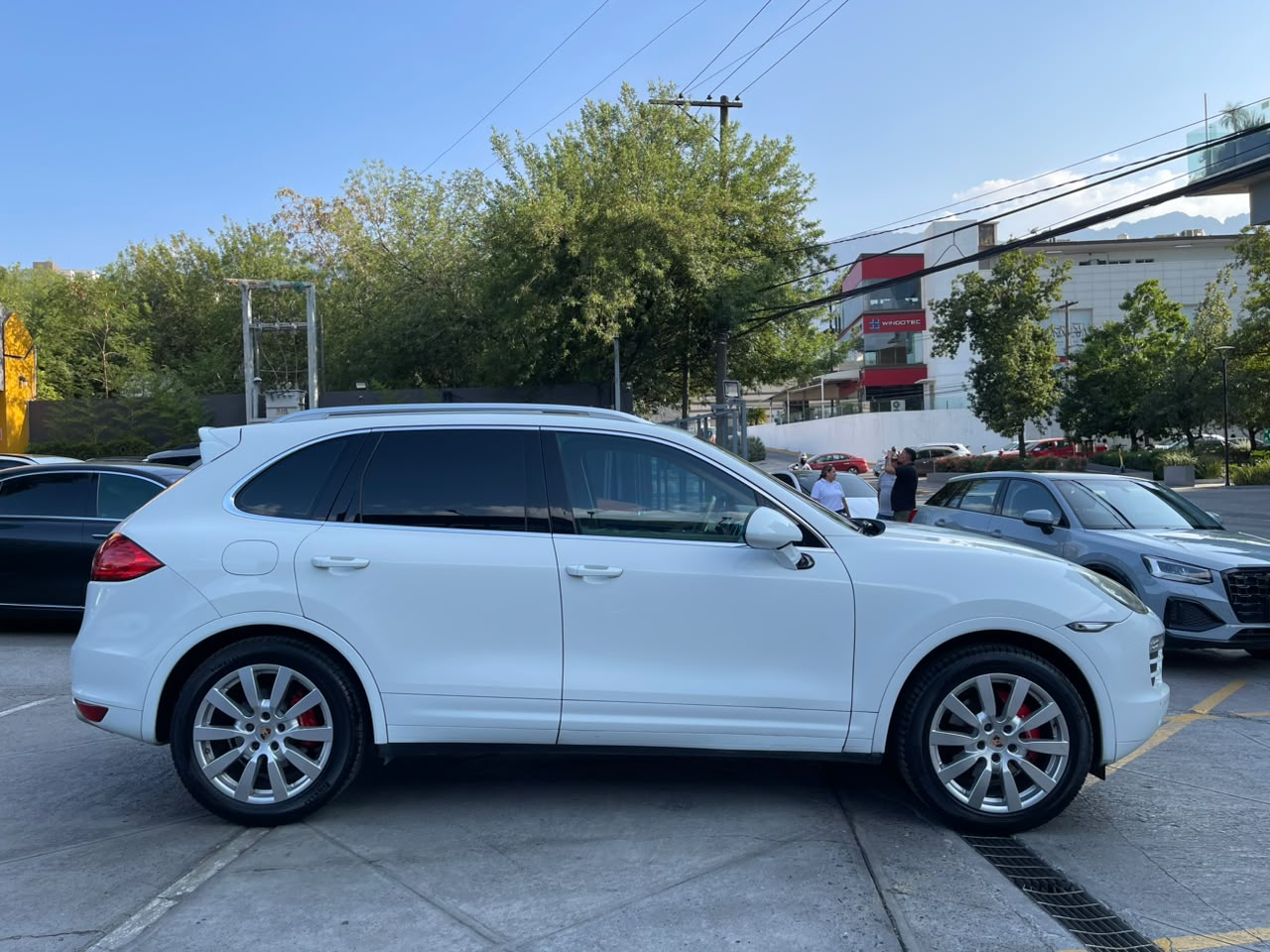 CAYENNE V6