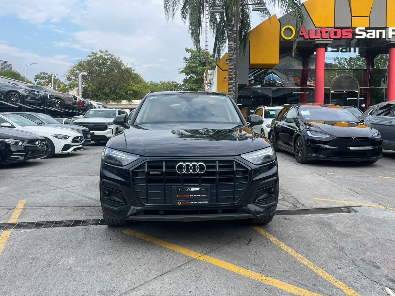 Q5 ELITE MILD HYBRID