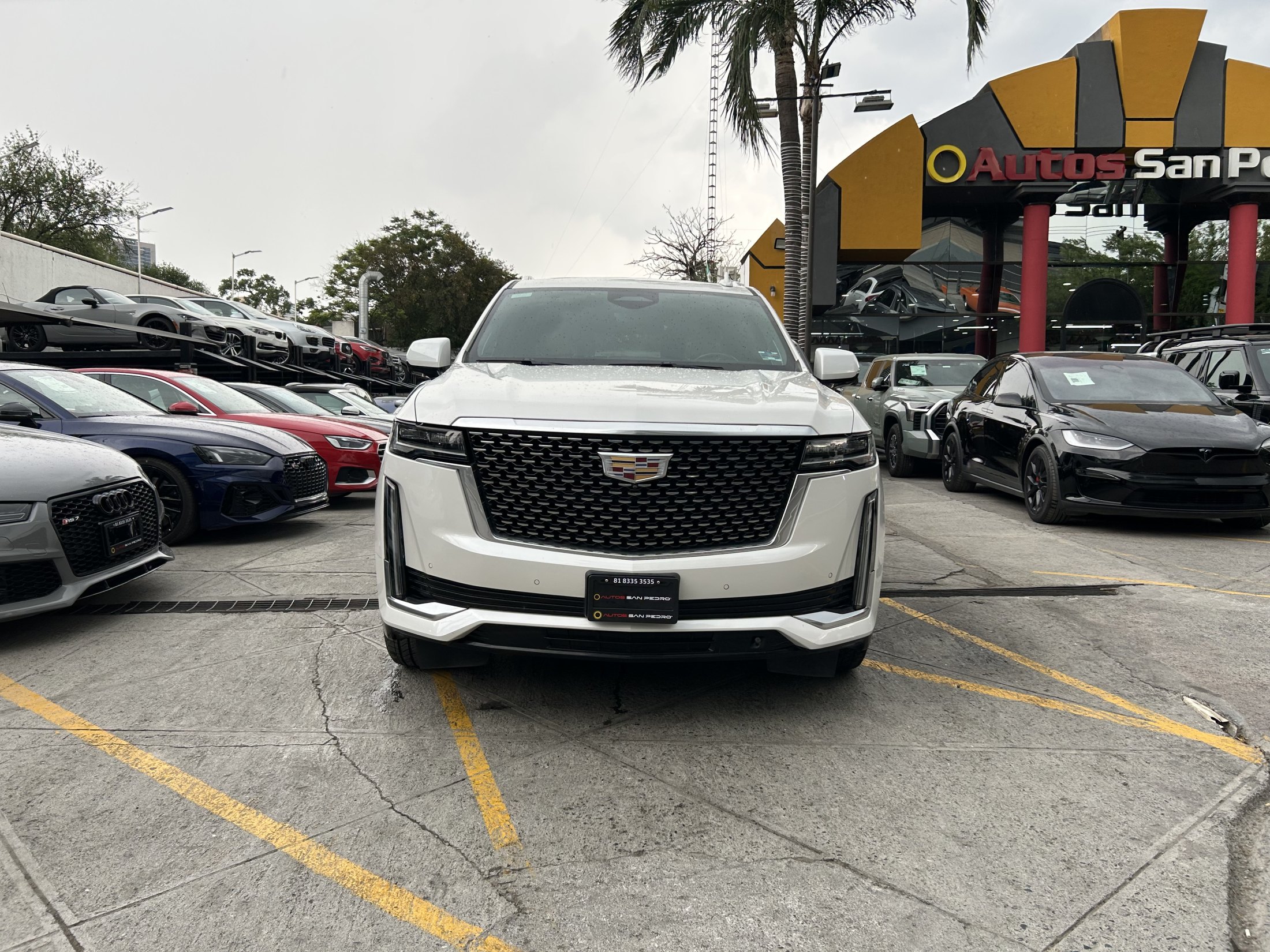 ESCALADE ESV
