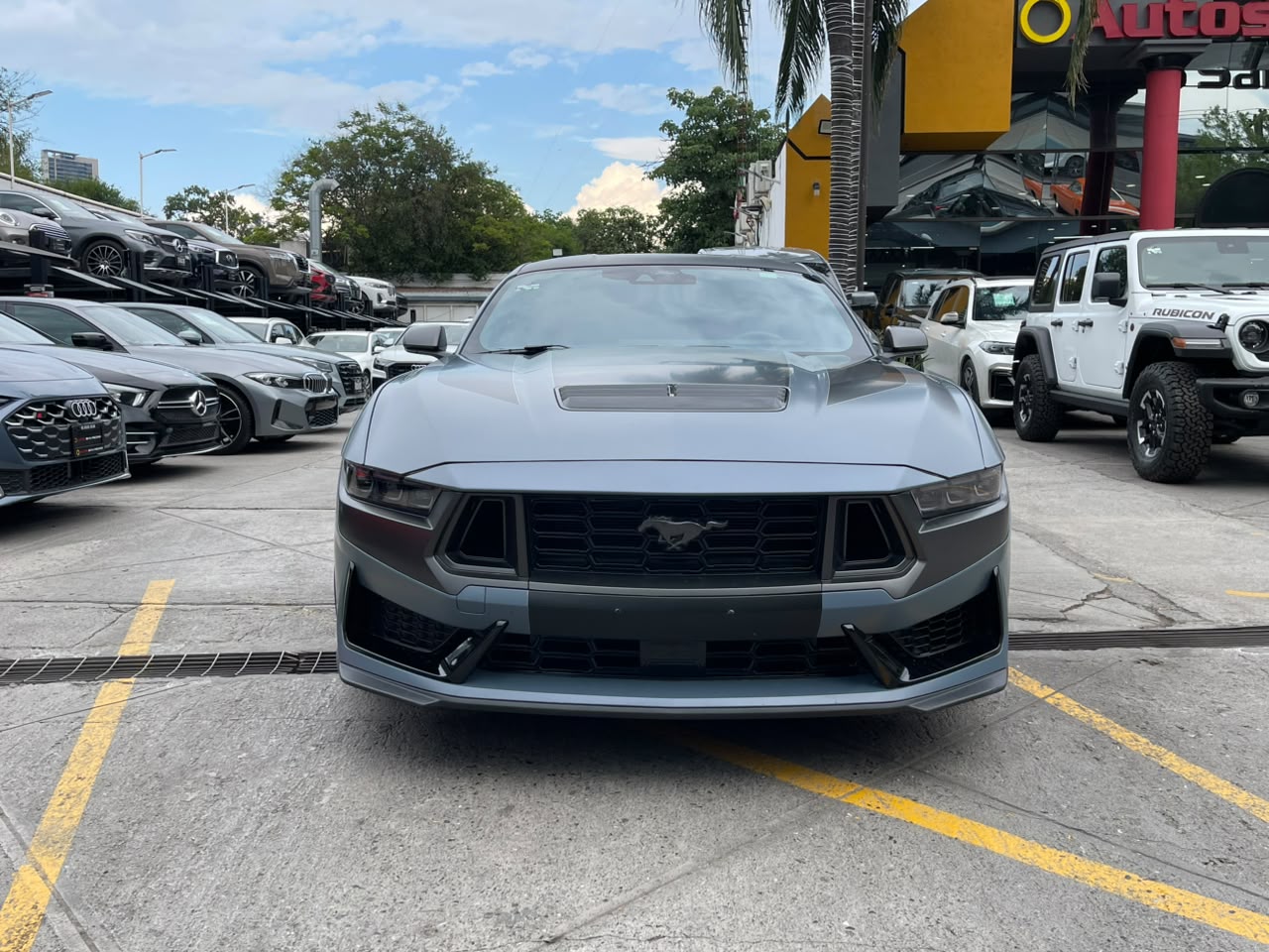 MUSTANG DARK HORSE