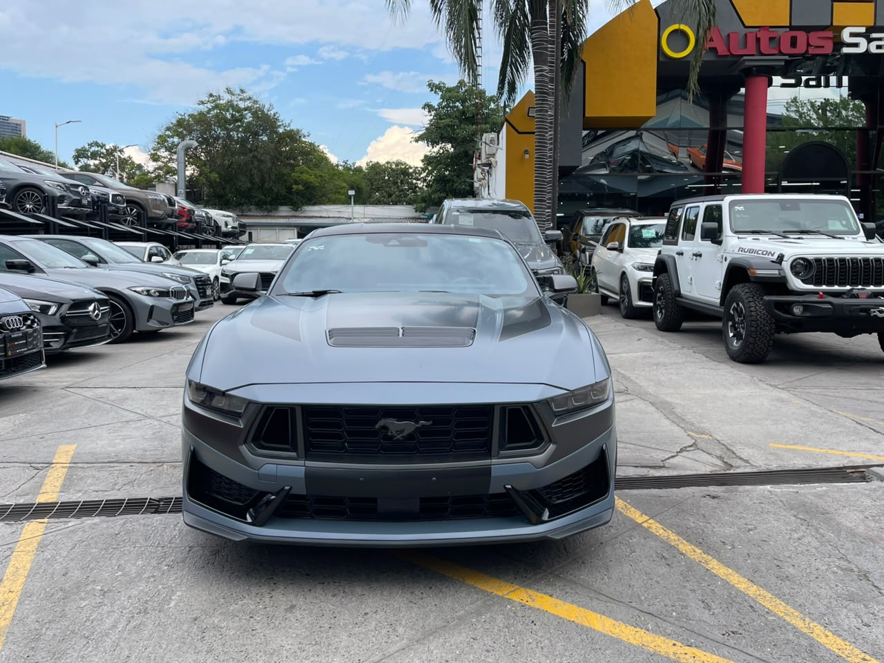 MUSTANG DARK HORSE