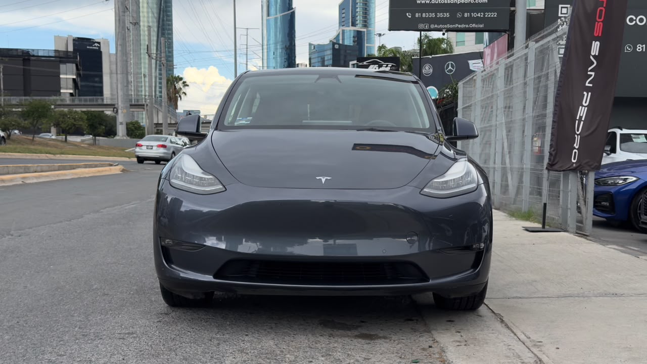 MODEL Y LONG RANGE