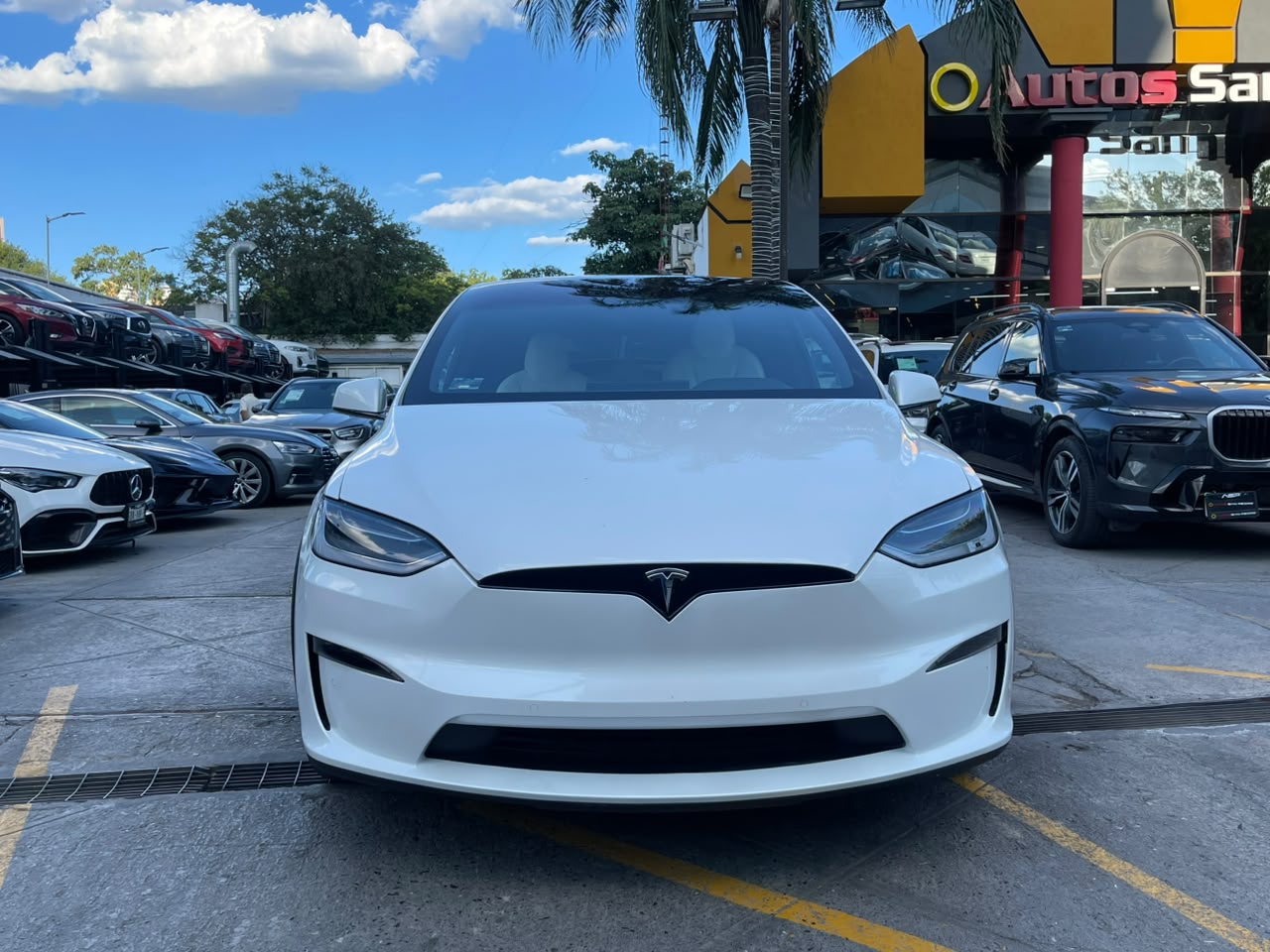 MODEL X