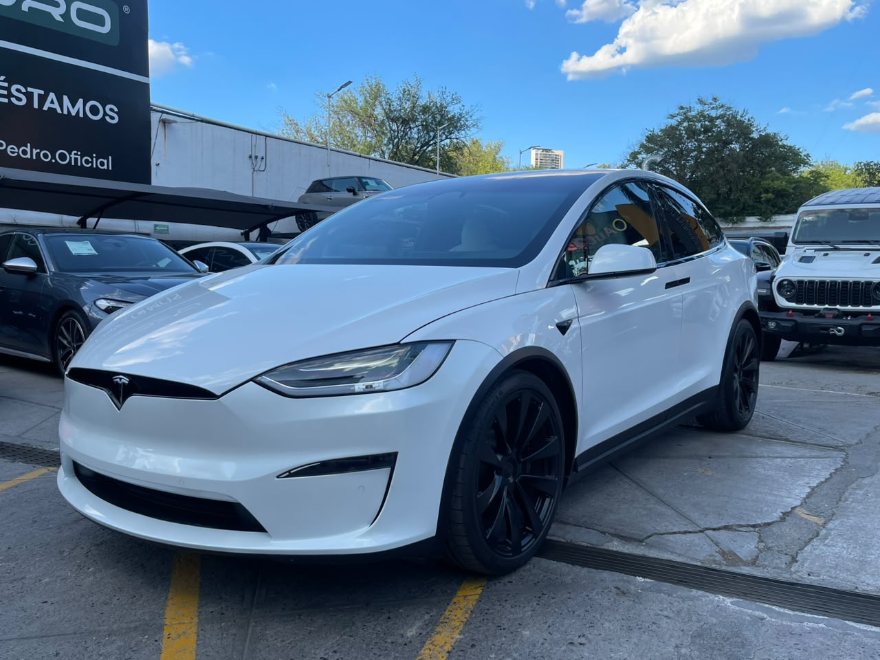 MODEL X