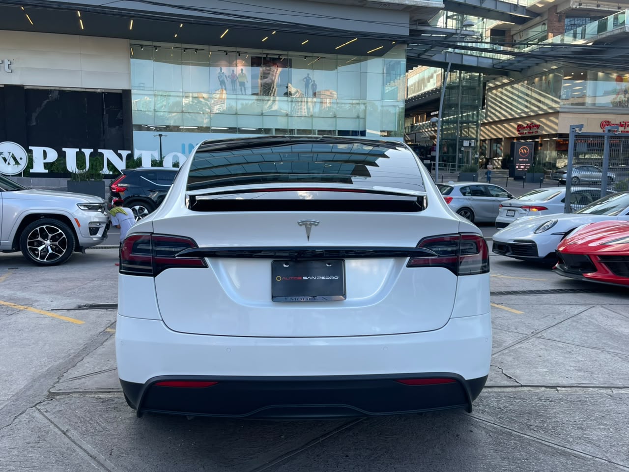 MODEL X