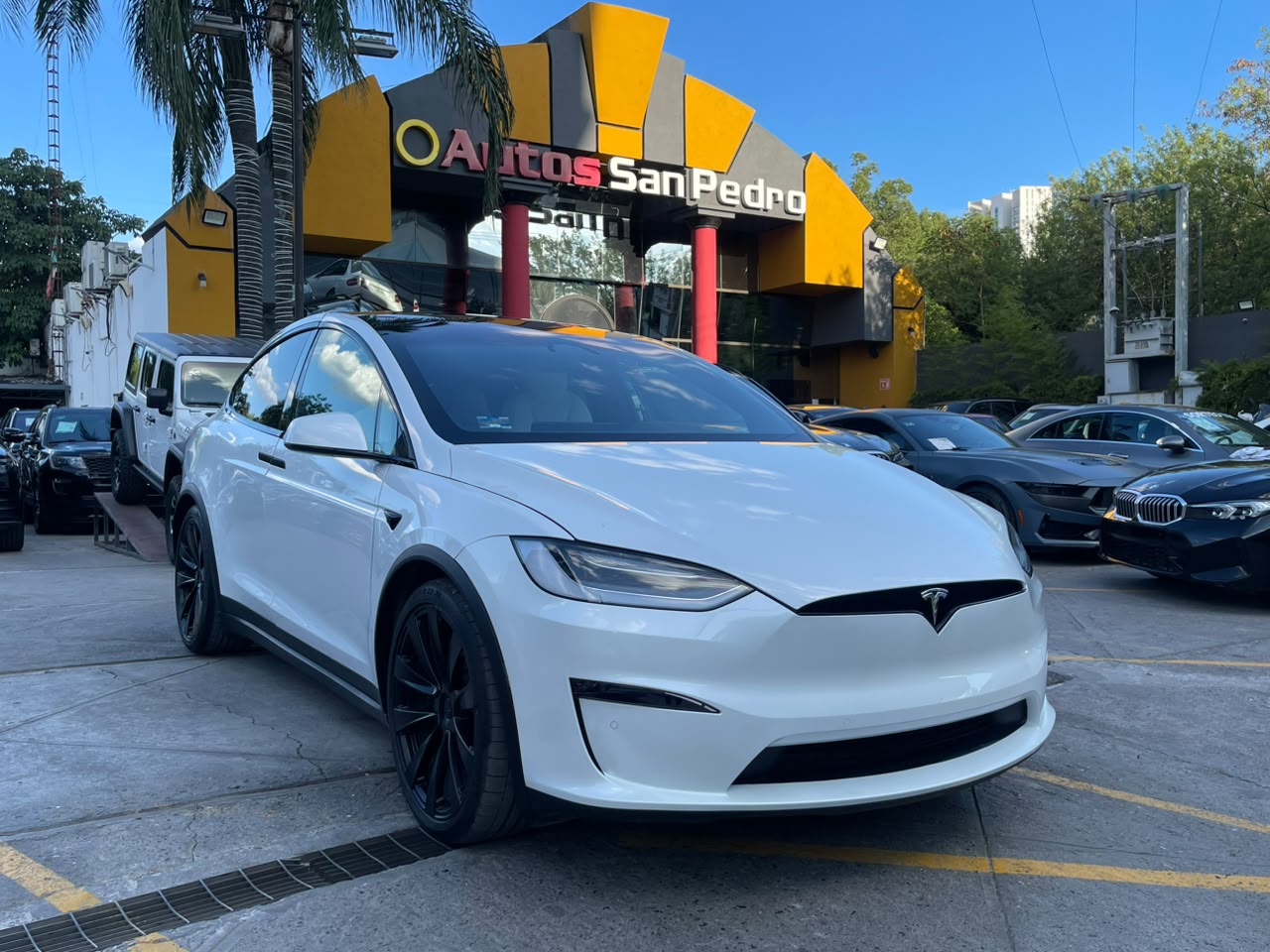 MODEL X