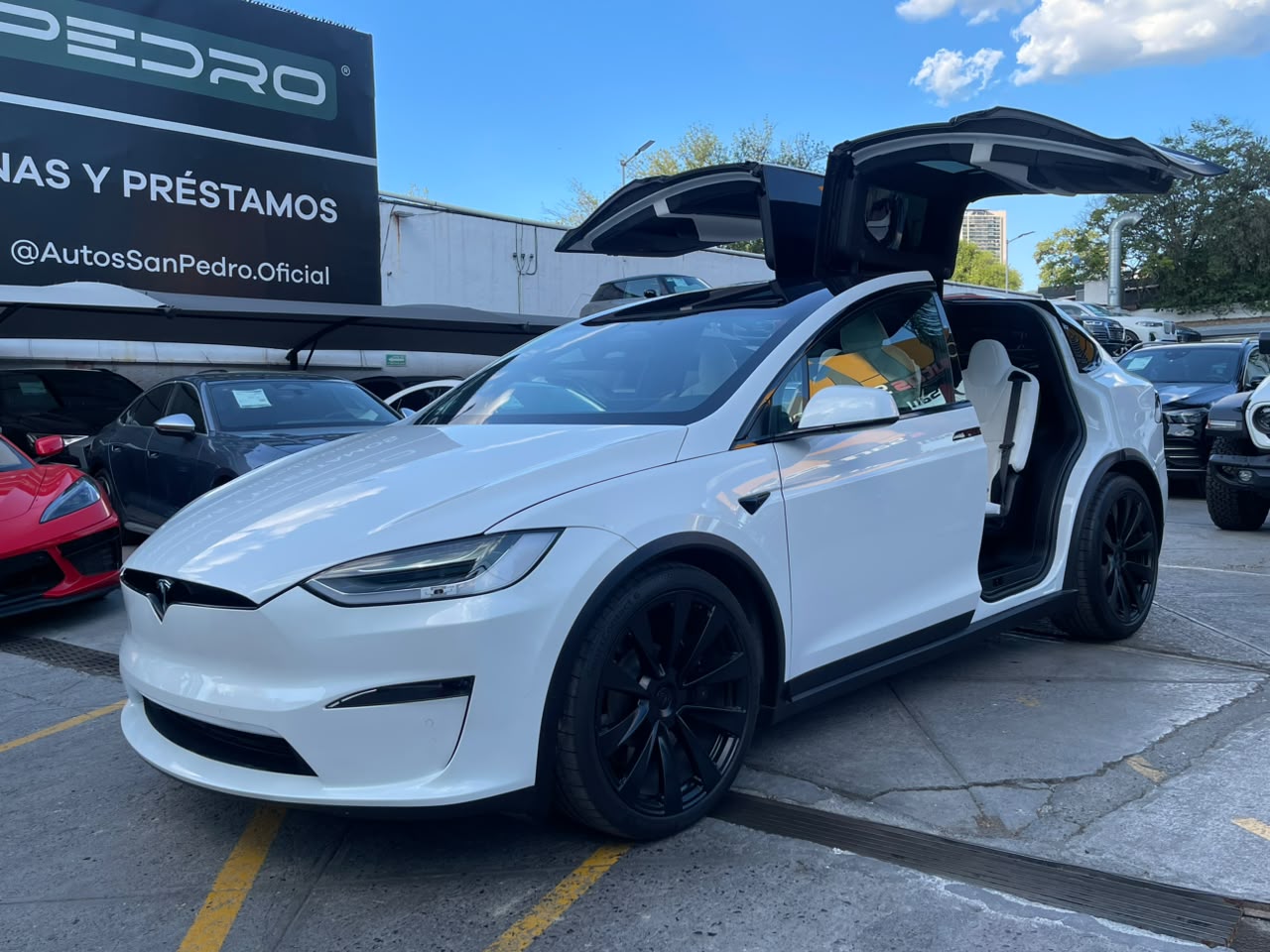 MODEL X