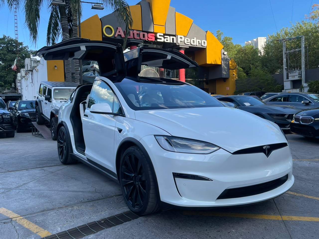MODEL X