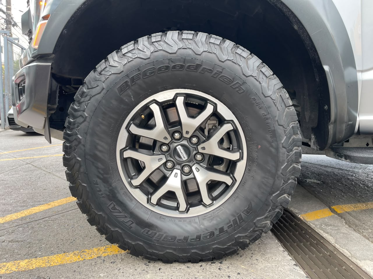 LOBO RAPTOR HIGH