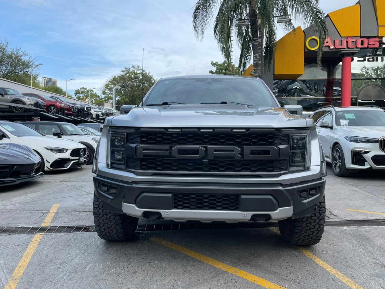 LOBO RAPTOR HIGH