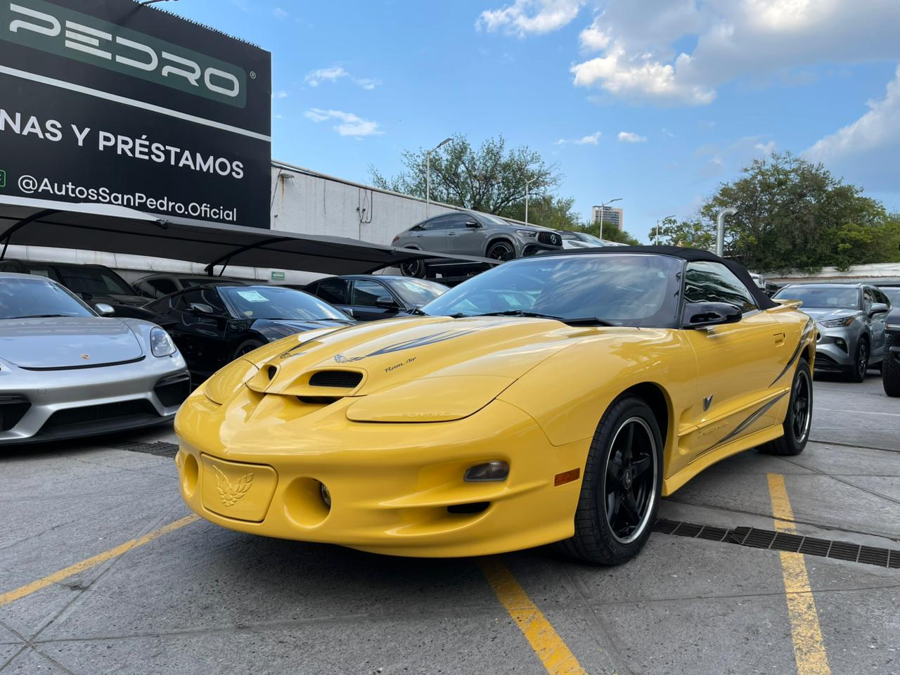 TRANSAM CONVERTIBLE W5 PERFORMANCE PACKAGE