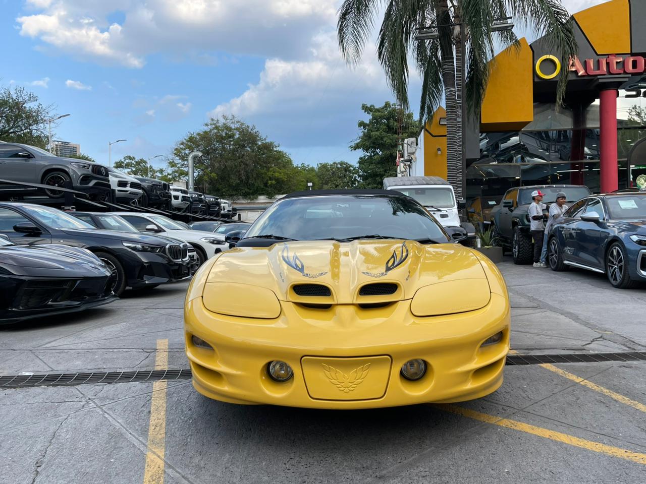TRANSAM CONVERTIBLE W5 PERFORMANCE PACKAGE
