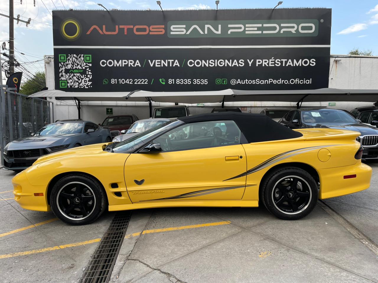 TRANSAM CONVERTIBLE W5 PERFORMANCE PACKAGE