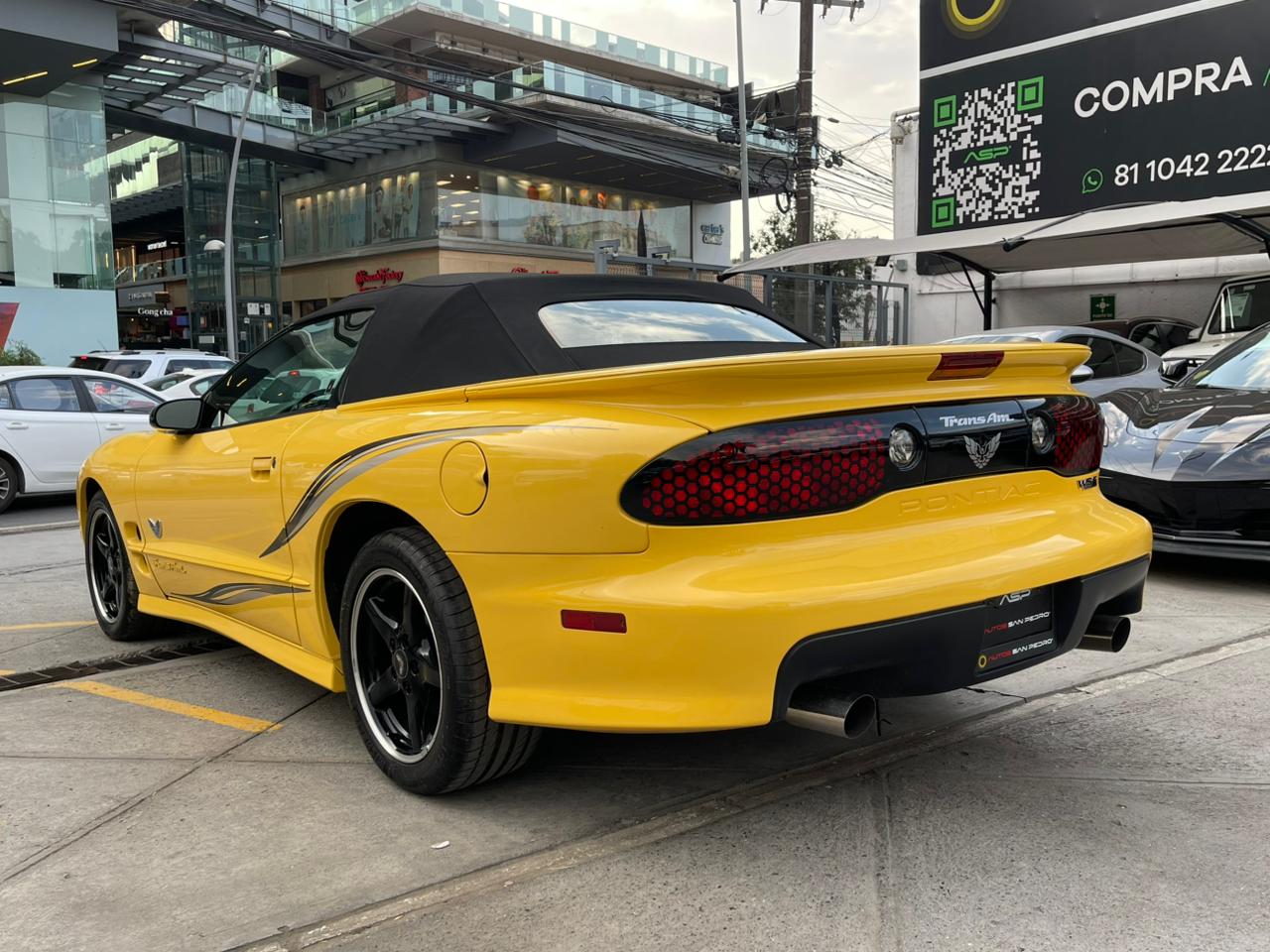 TRANSAM CONVERTIBLE W5 PERFORMANCE PACKAGE