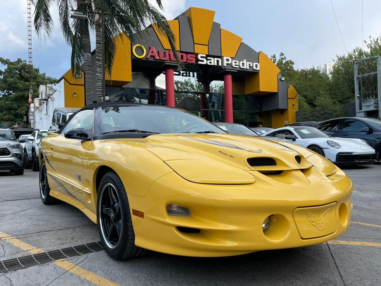 TRANSAM CONVERTIBLE W5 PERFORMANCE PACKAGE