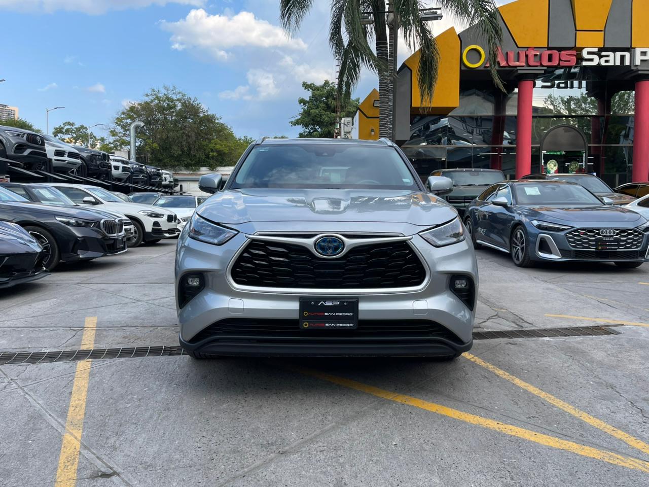HIGHLANDER HIBRIDA XLE