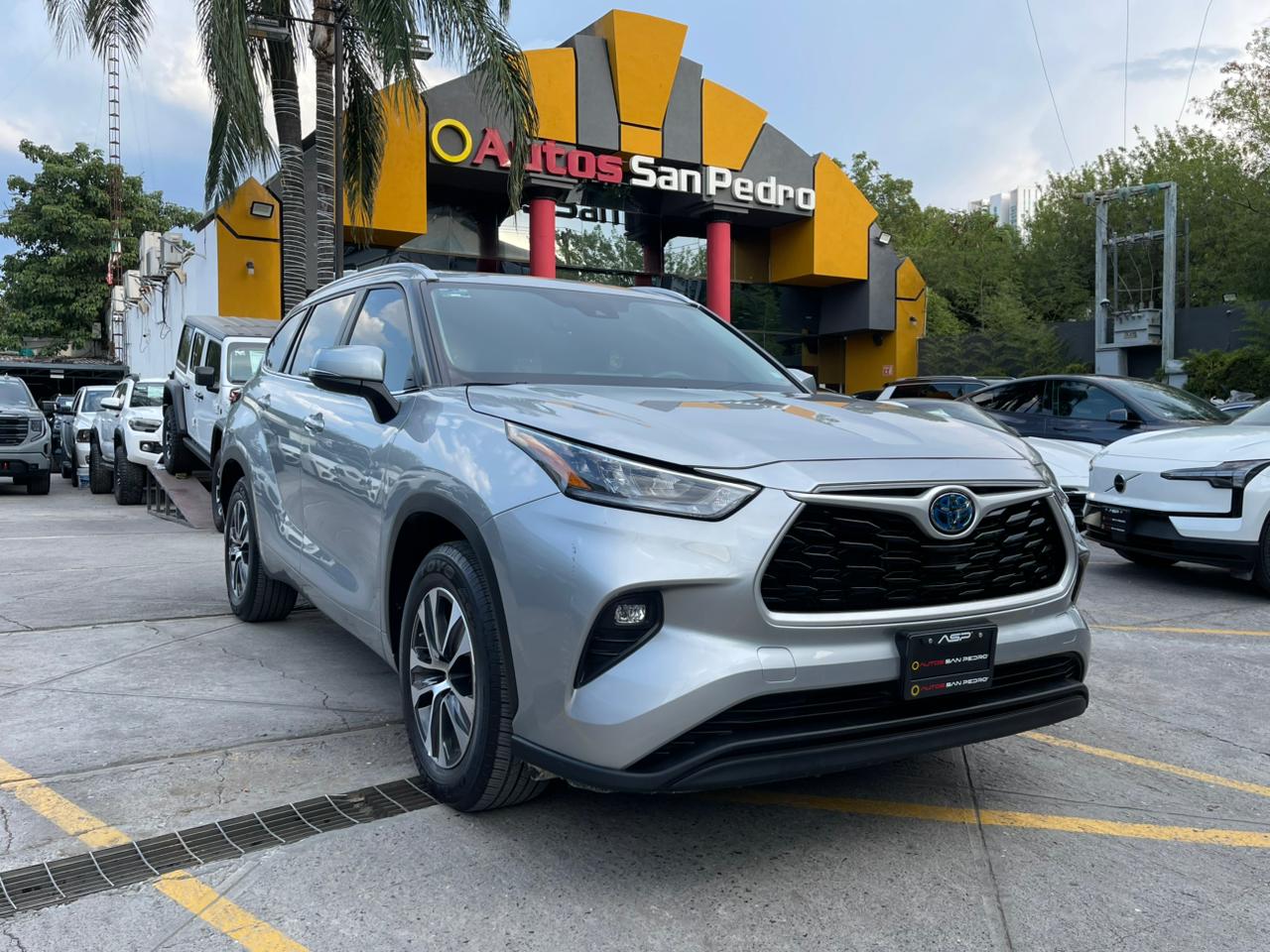 HIGHLANDER HIBRIDA XLE