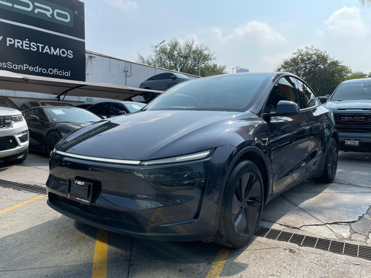 MODEL Y