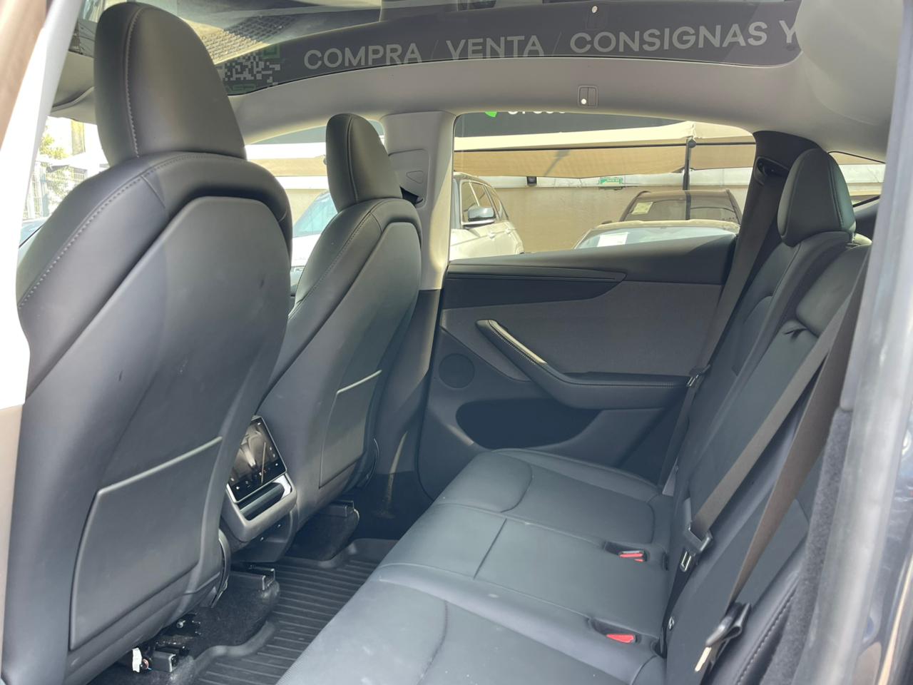 MODEL Y