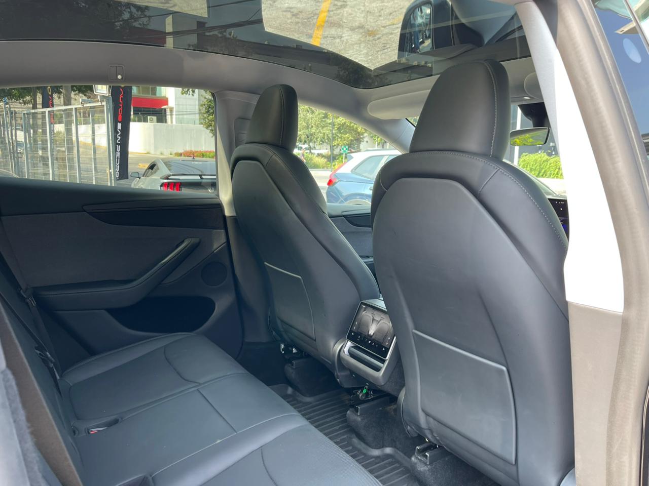 MODEL Y