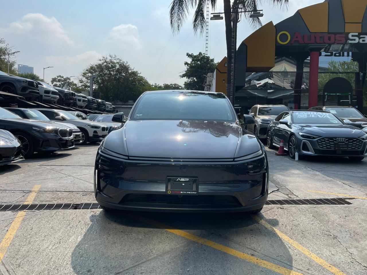 MODEL Y