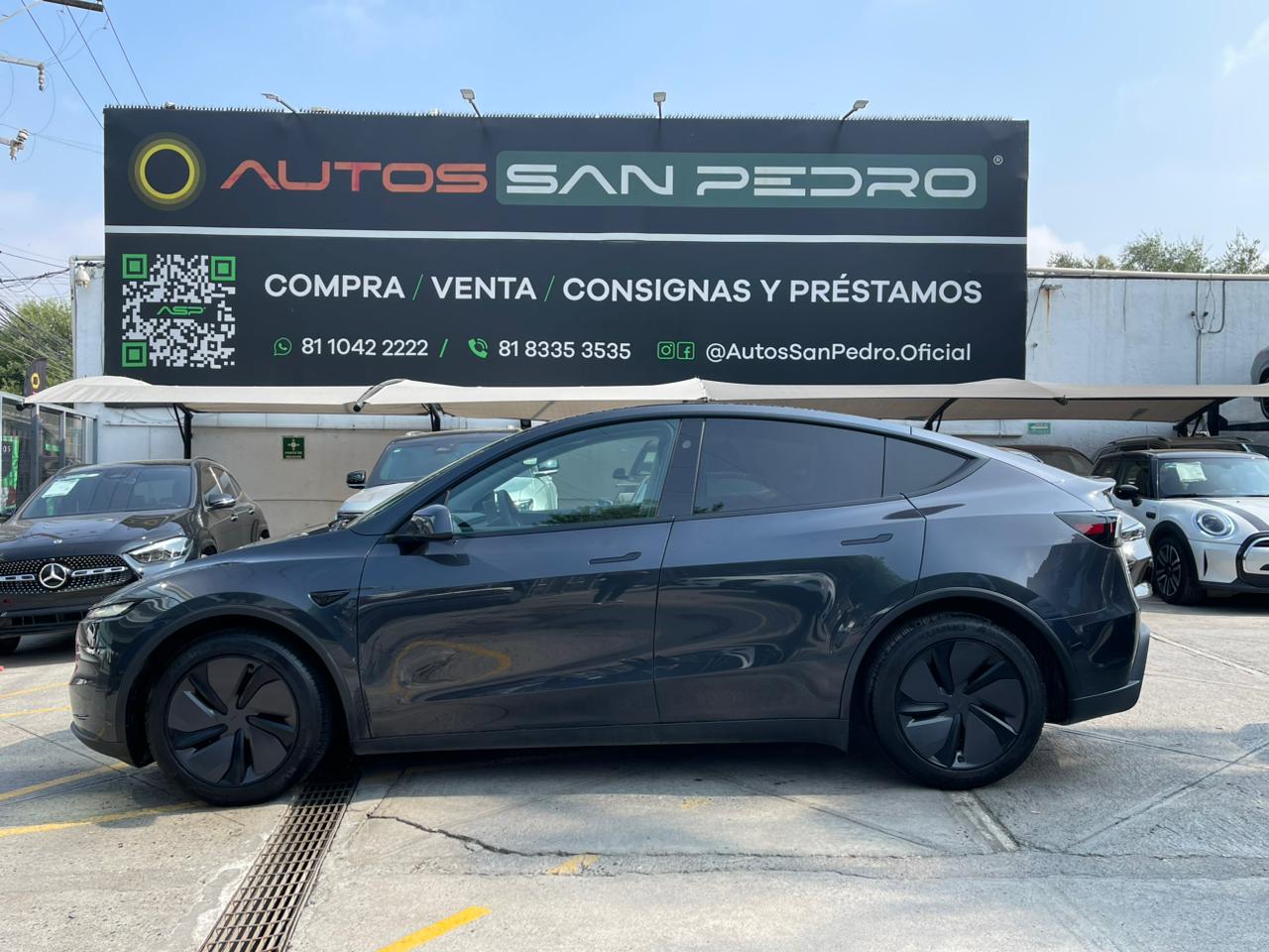 MODEL Y