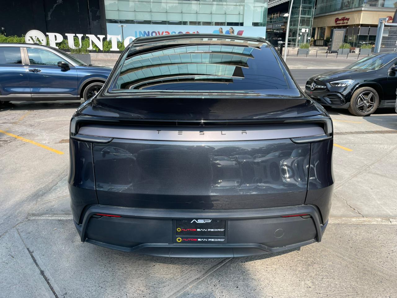 MODEL Y