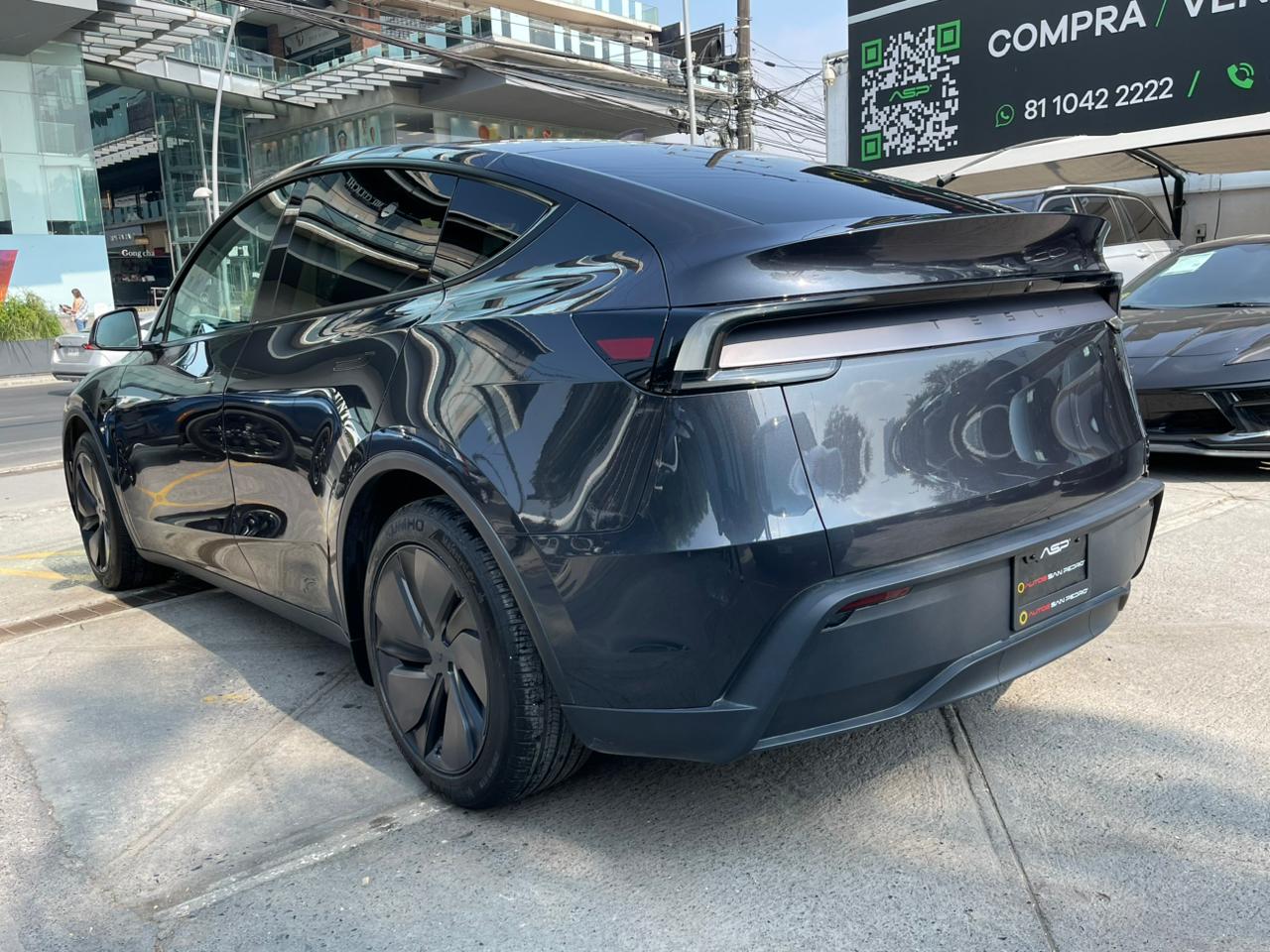 MODEL Y