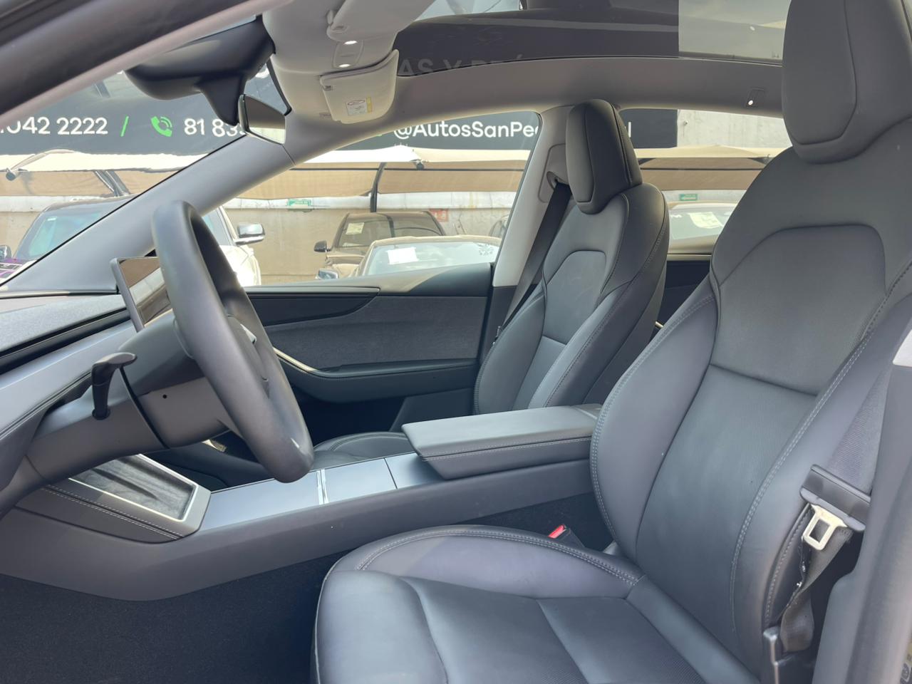 MODEL Y