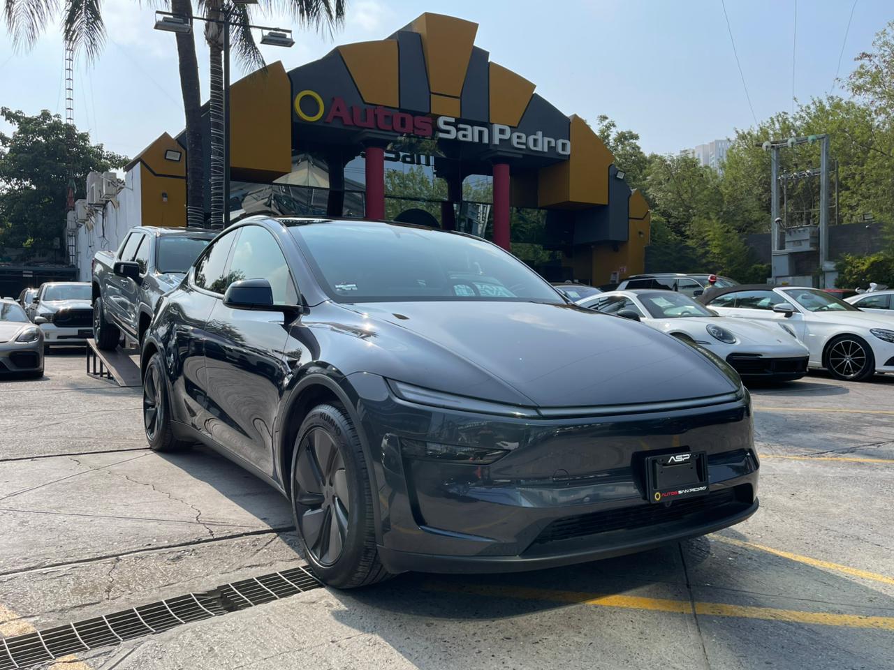 MODEL Y