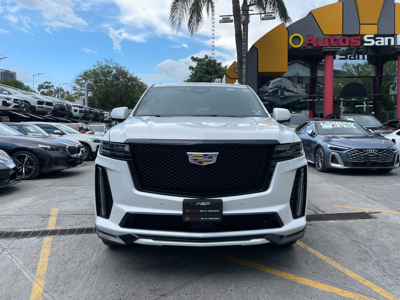ESCALADE V-SPORT