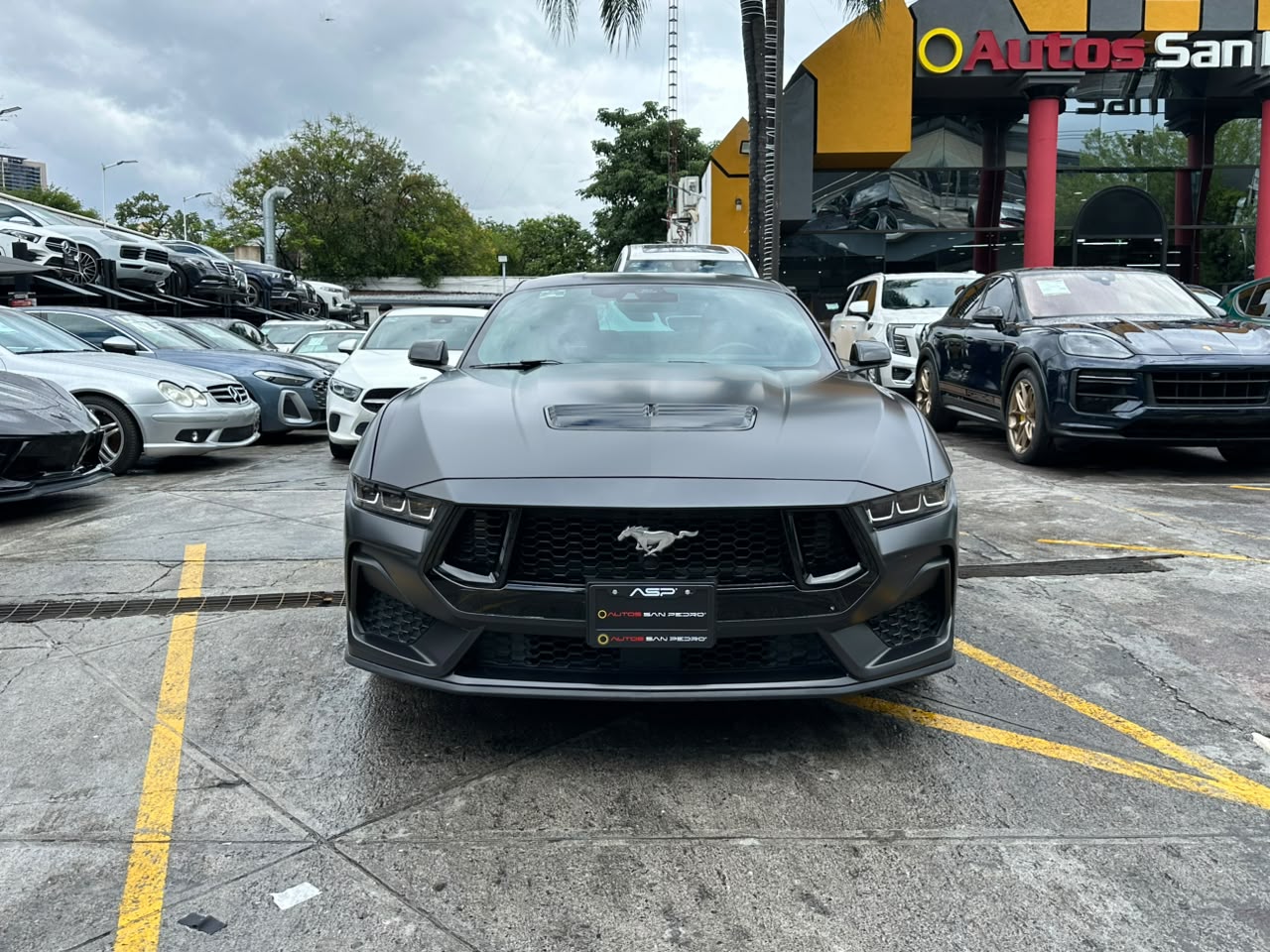 MUSTANG GT PREMIUM COUPE