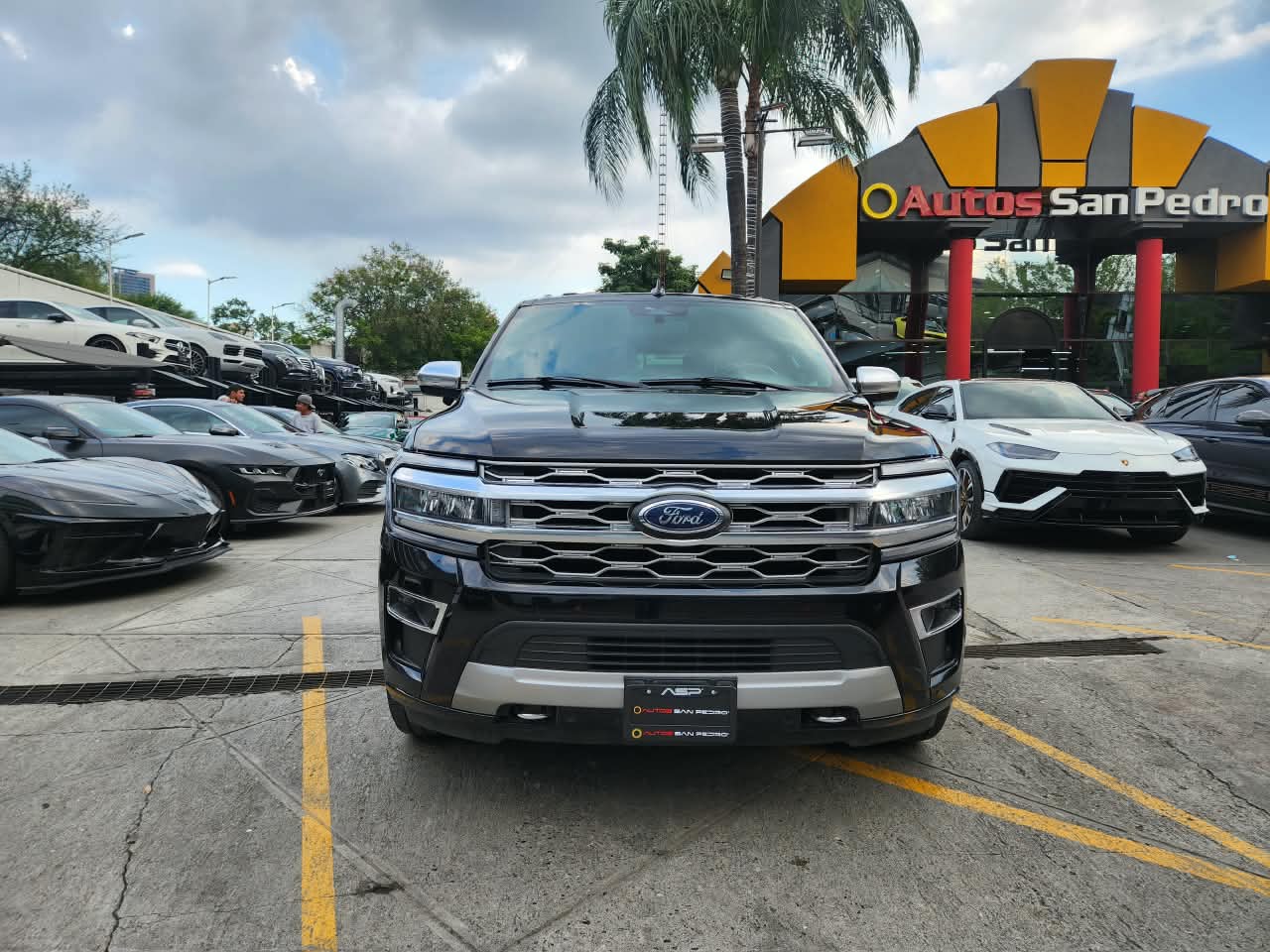 EXPEDITION PLATINUM MAX