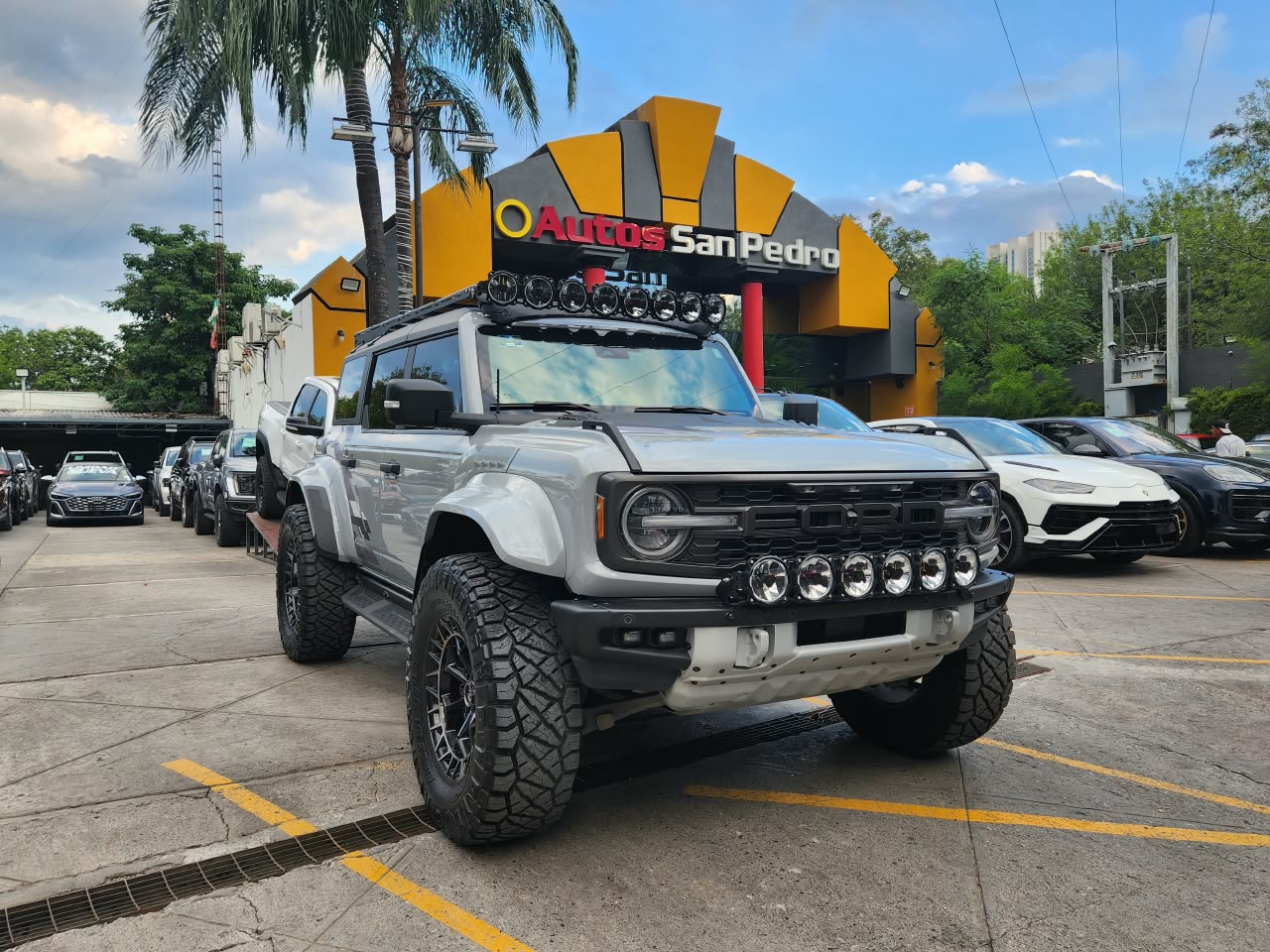 BRONCO RAPTOR