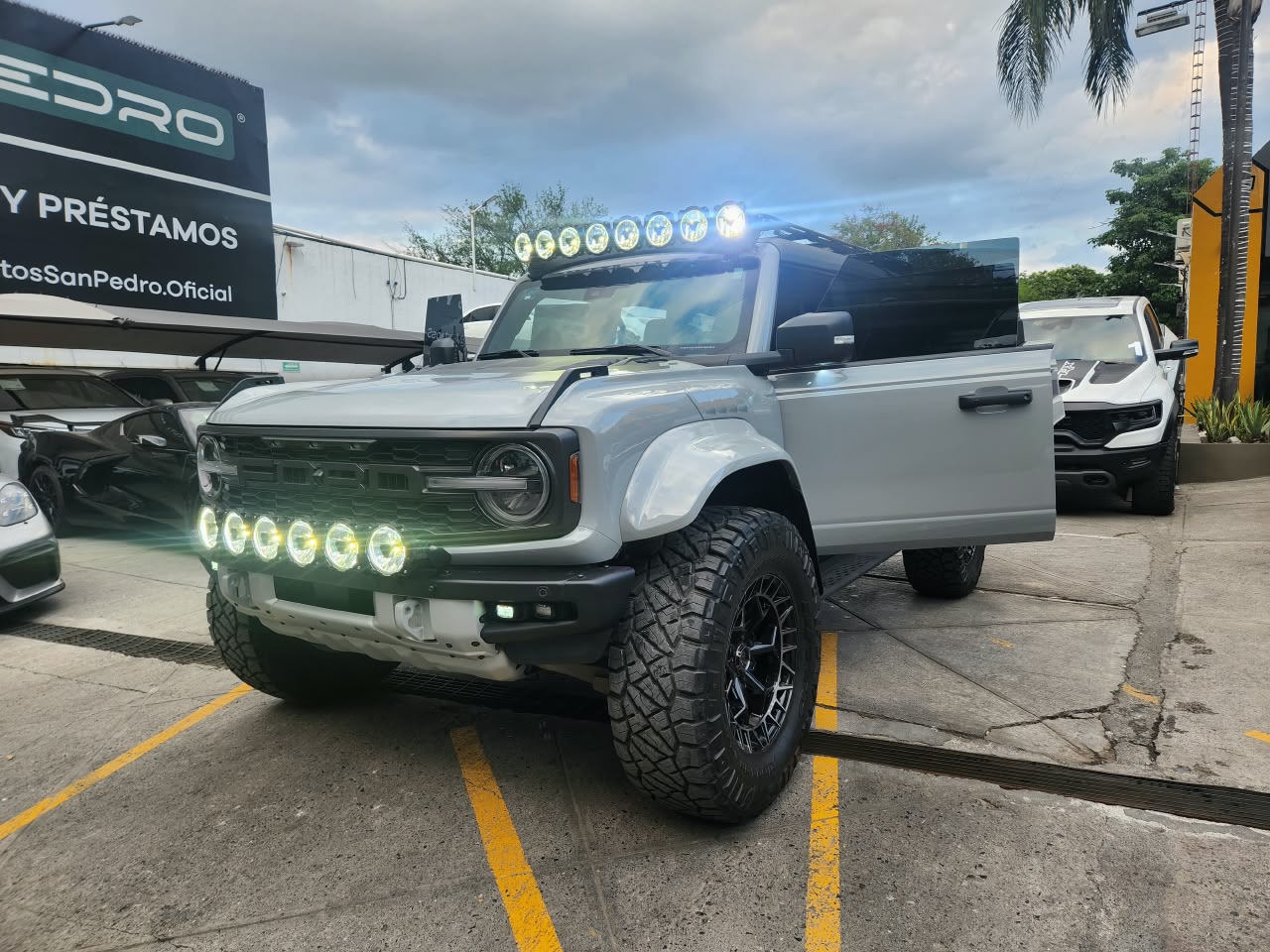 BRONCO RAPTOR