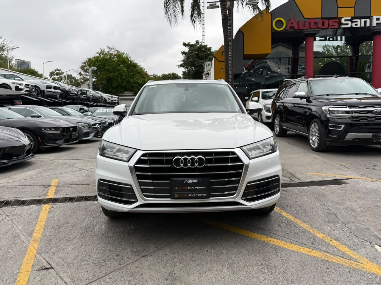 Q5 ELITE