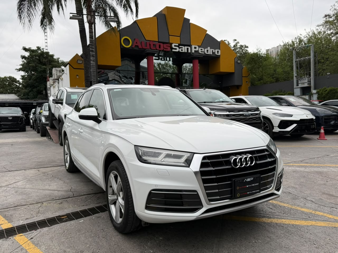 Q5 ELITE