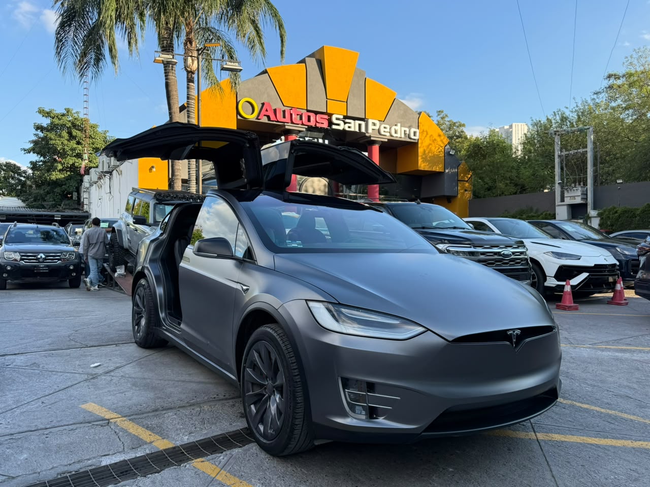 MODEL X LONG RANGE PLUS