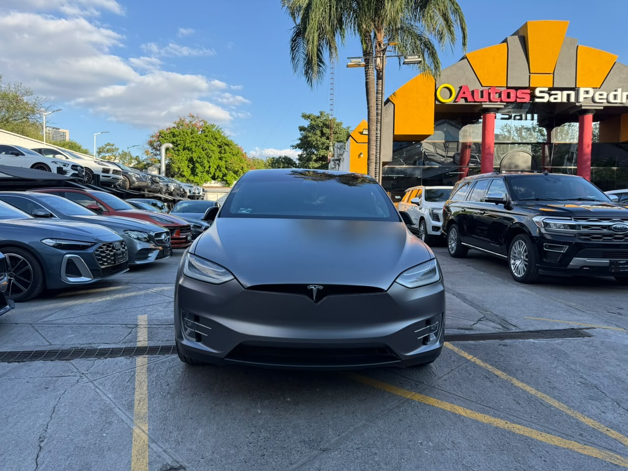 MODEL X LONG RANGE PLUS