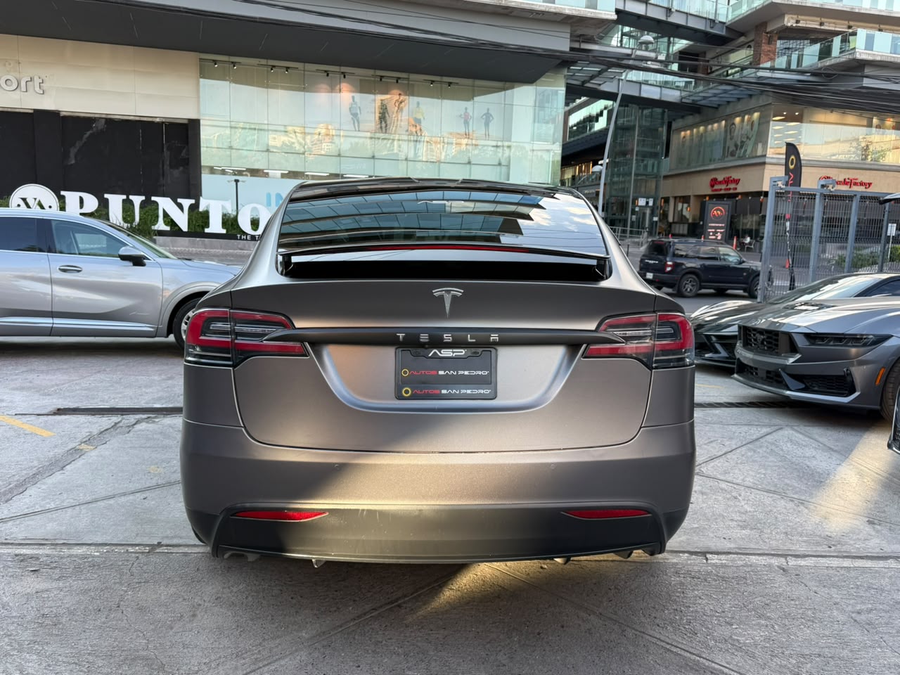 MODEL X LONG RANGE PLUS