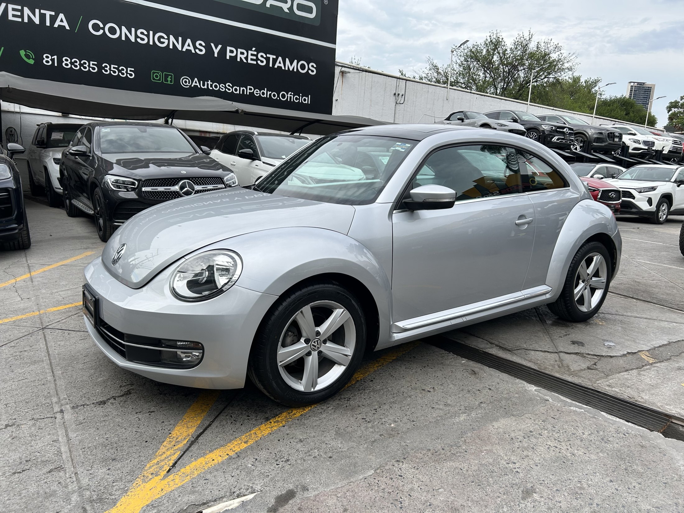 Volkswagen Beetle
