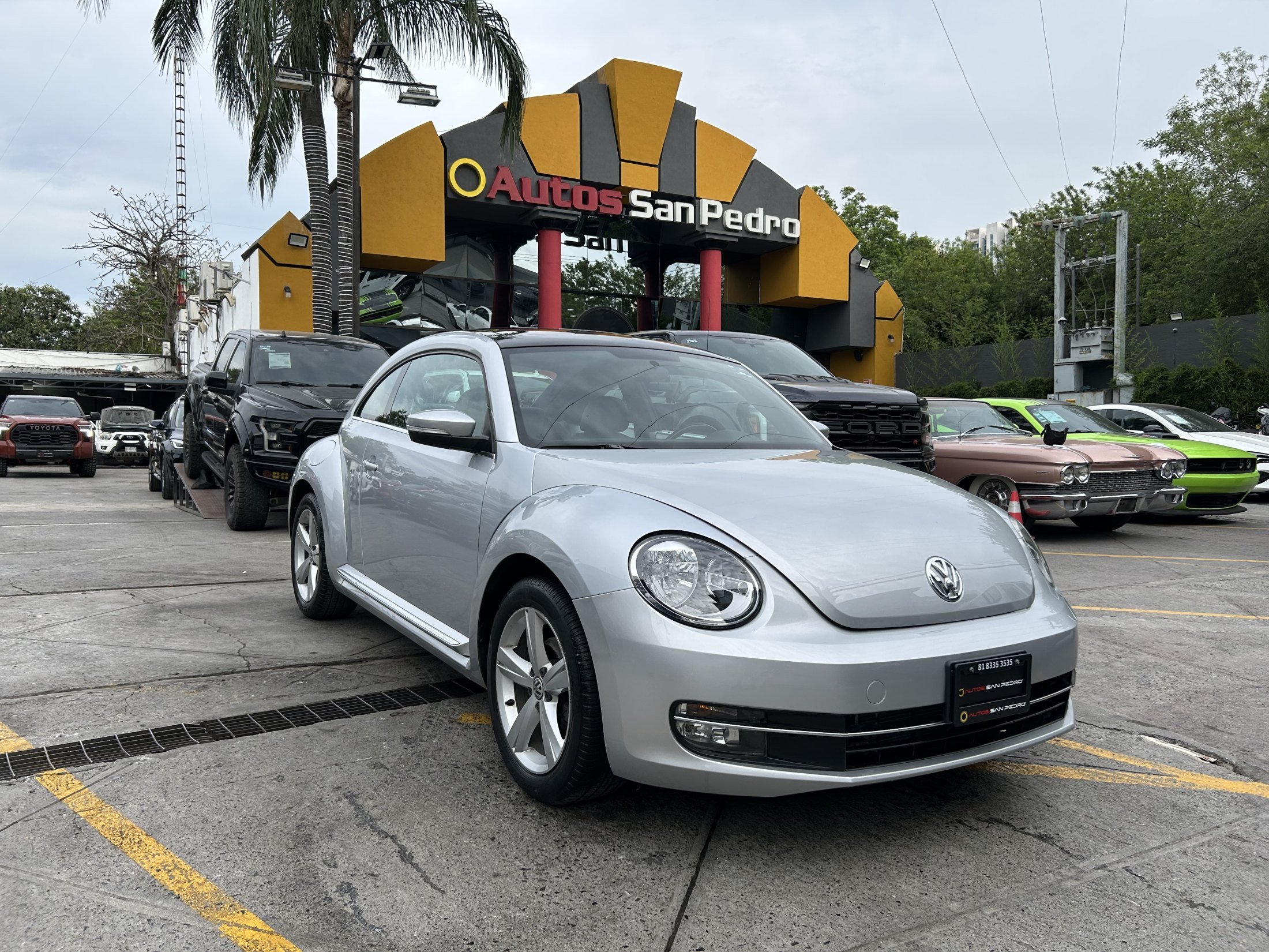 Volkswagen Beetle