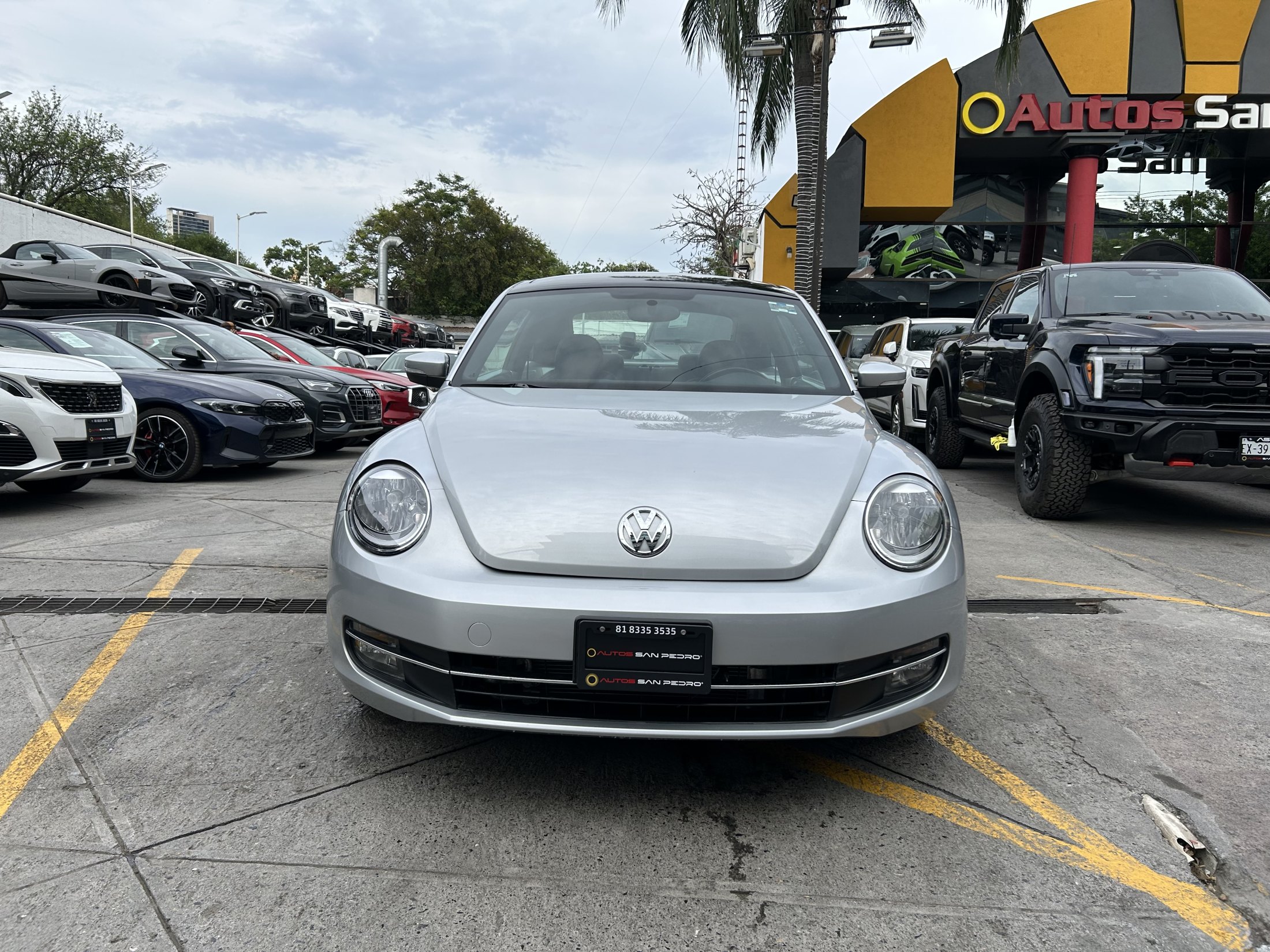 Volkswagen Beetle