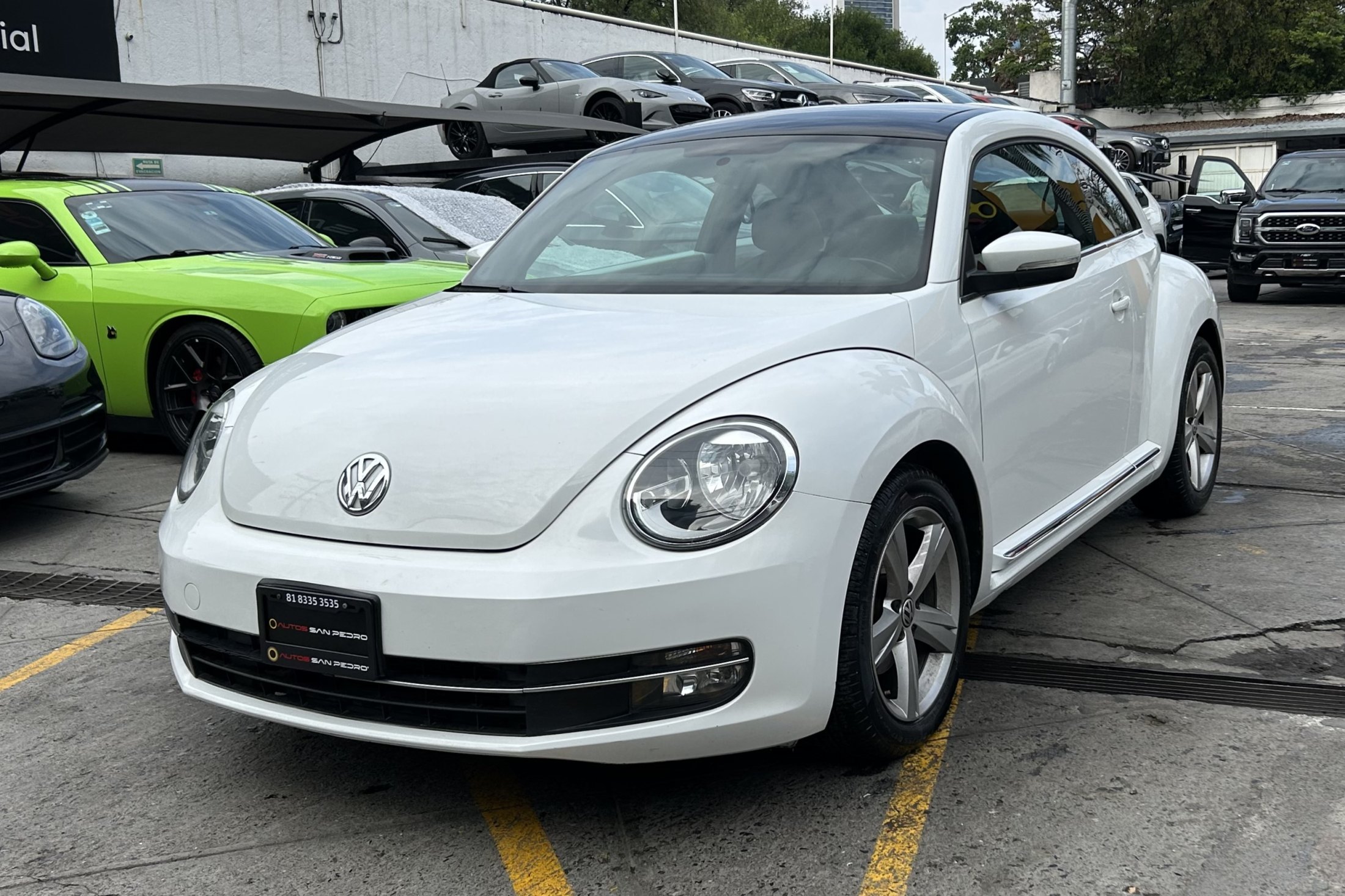 Volkswagen Beetle Sportline