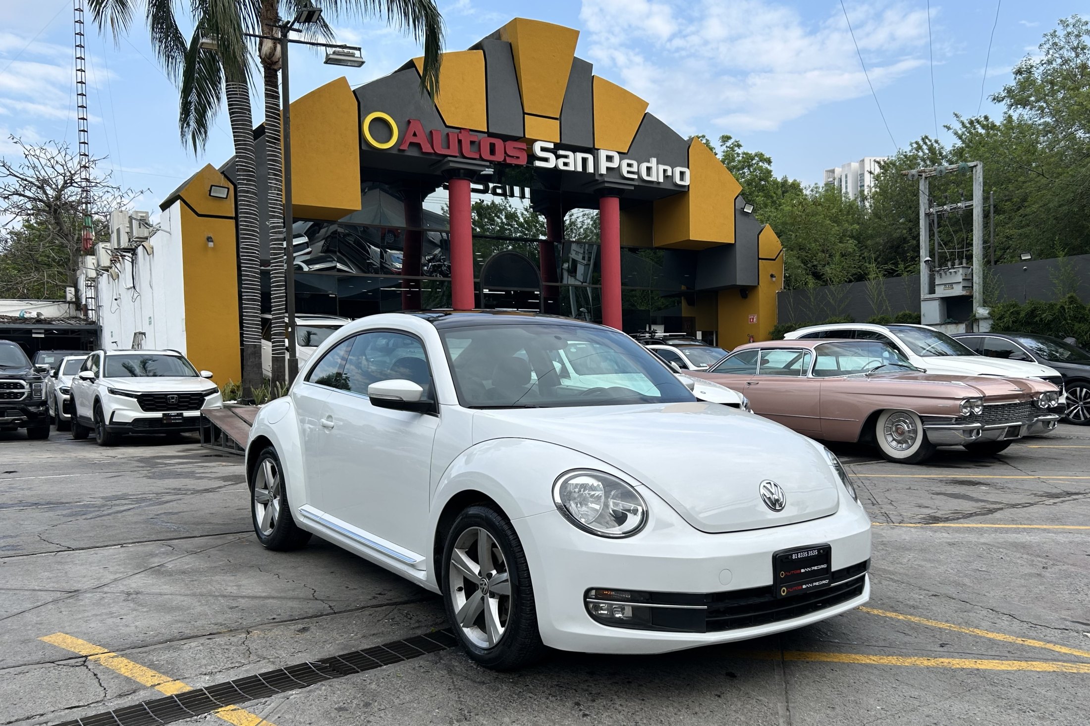 Volkswagen Beetle Sportline