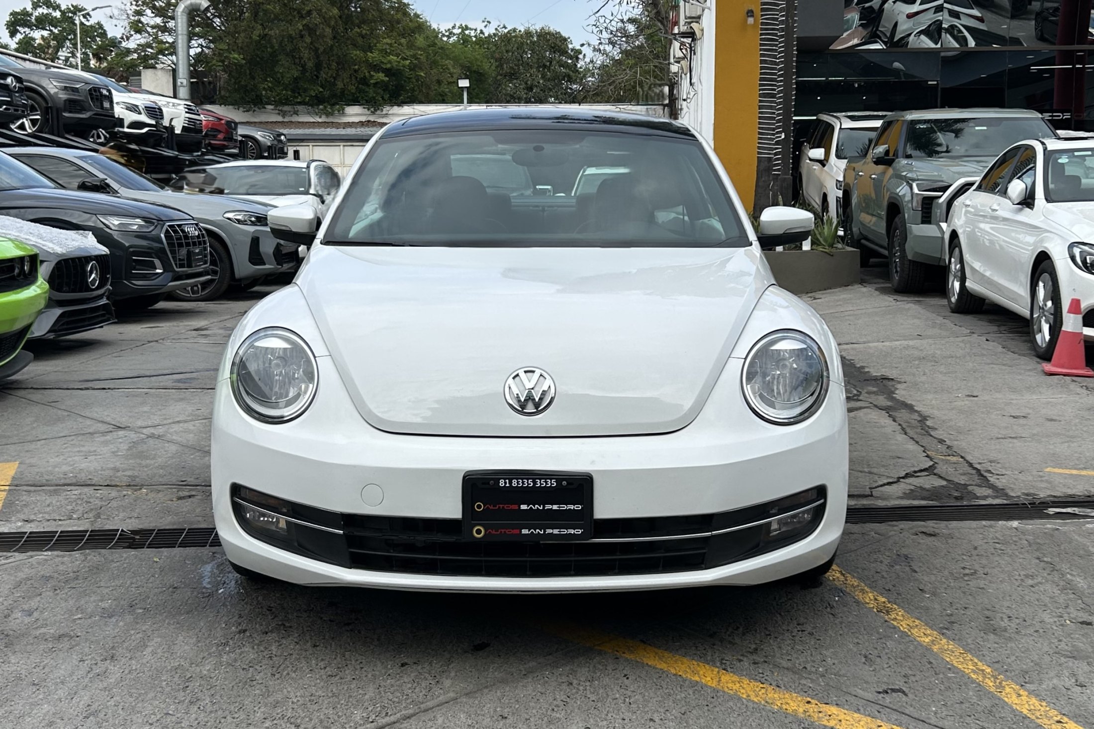 Volkswagen Beetle Sportline