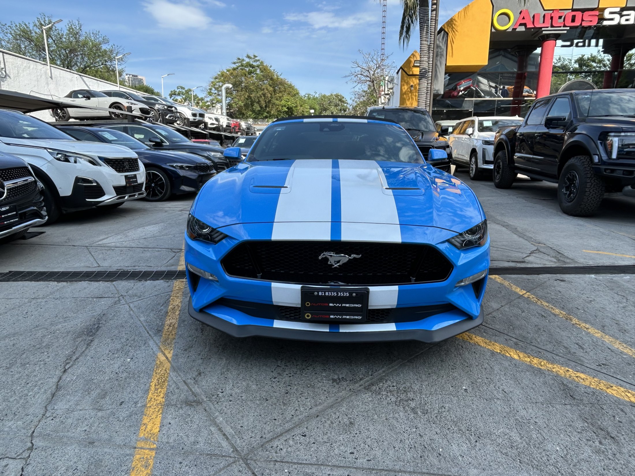 Ford Mustang GT Convertible