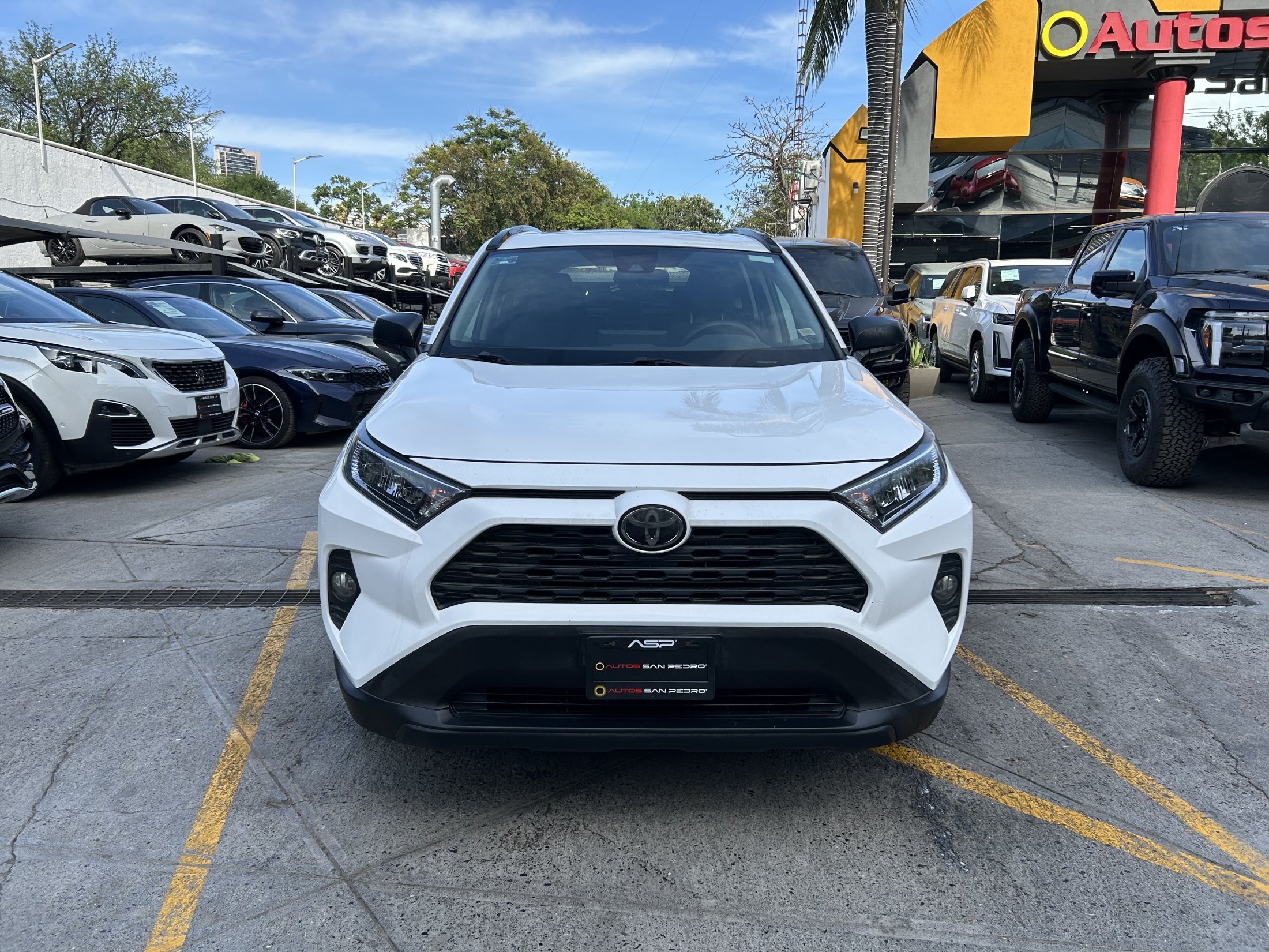 Toyota RAV4 XLE FDW