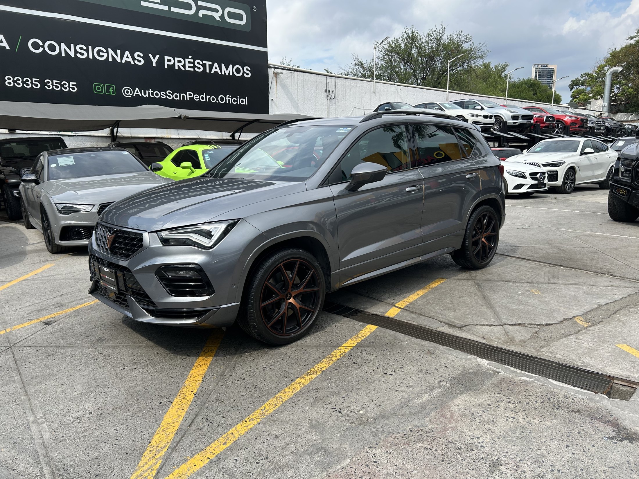 Cupra Ateca DS6